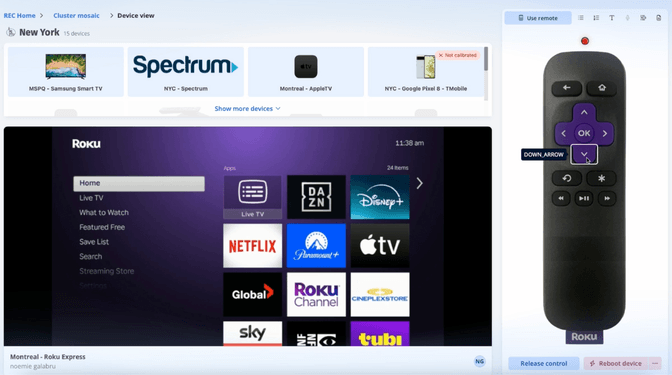 Remote control on smart tv - Roku TV