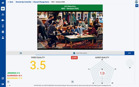 Checking video playback quality